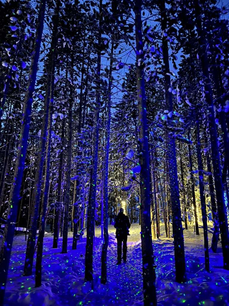 Enchanted Forest, Big Sky, Montana