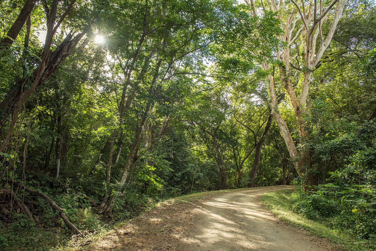 Reserva Conchal Bike Trail and Hike Trail